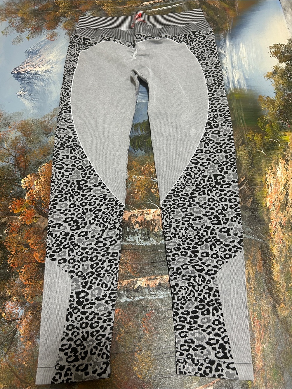 Opaque Black and White Striped Leggings.